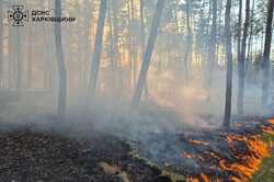 Масштабні пожежі виникли на Харківщині (ФОТО)