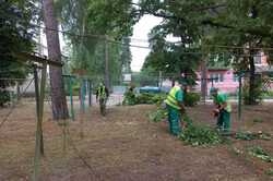 У Харкові пориви вітру з дощем наробили шкоди в одному з районів (ФОТО)