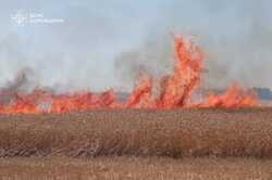На Харківщині згоріло 23 гектари пшениці